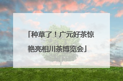 种草了！广元好茶惊艳亮相川茶博览会